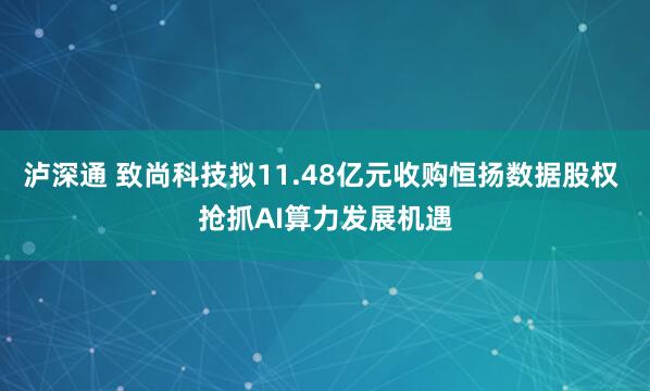 泸深通 致尚科技拟11.48亿元收购恒扬数据股权 抢抓AI算力发展机遇